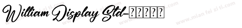 William Display Std字体转换